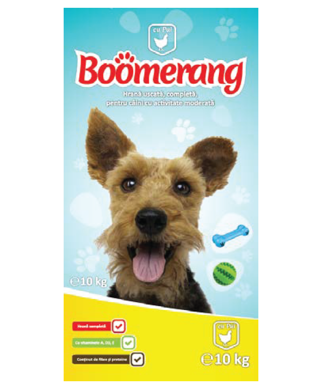 BOOMERANG with CHICKEN